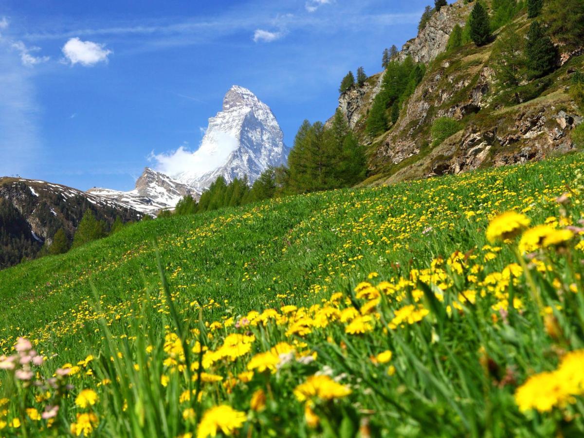Apartment Pasadena By Interhome Zermatt Eksteriør bilde